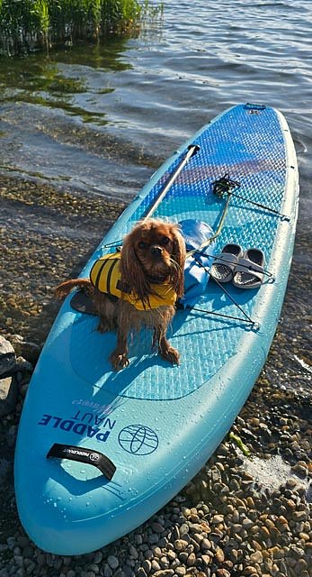 Vyhraj závod a paddleboard - zahraj si hru a vyhraj paddleboard PADDLENAUT