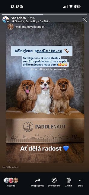 Vyhraj závod a paddleboard - zahraj si hru a vyhraj paddleboard PADDLENAUT
