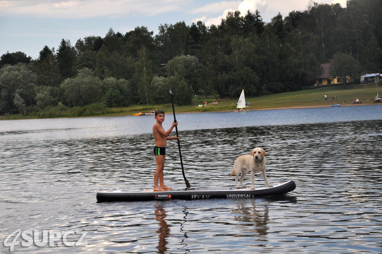 Pejsek na paddleboardu, přehrada Seč