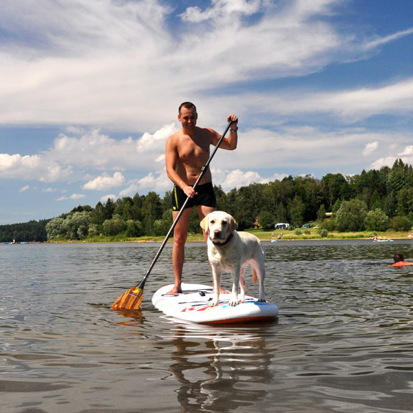 Vezměte svého pejska na paddleboard