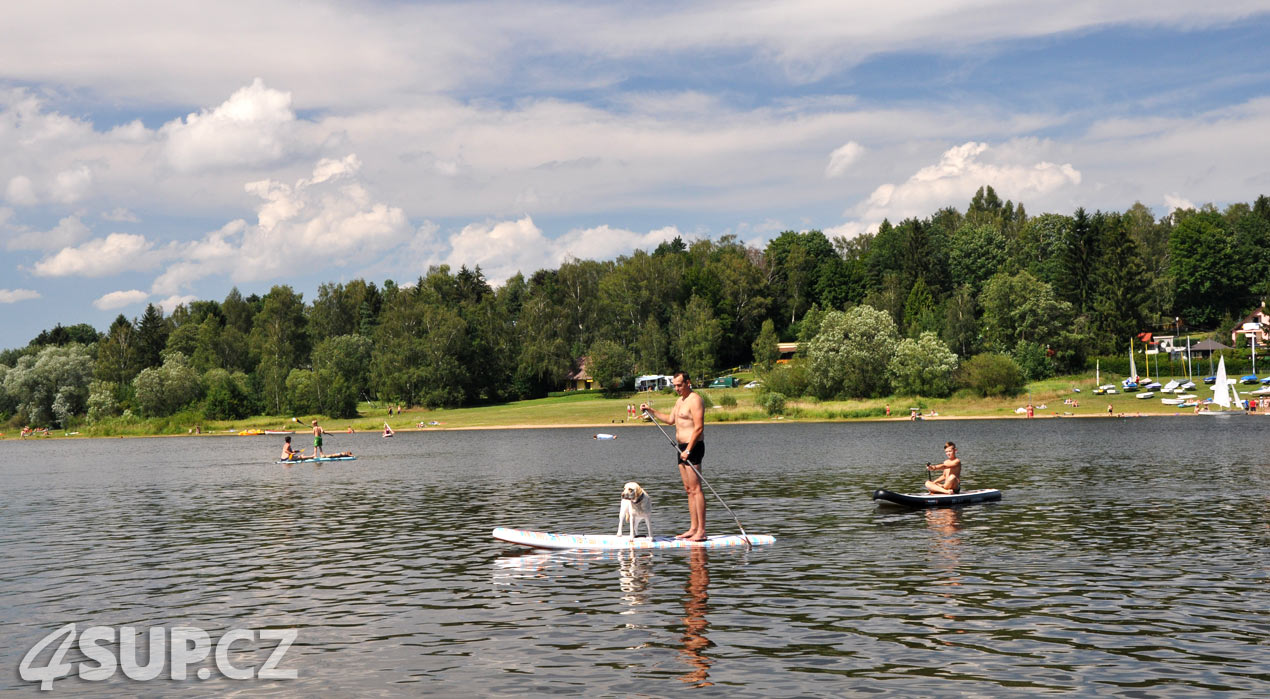 Retriever na paddleboardu. Paddleboard a pes, vemte svého pejska na projížďku na paddleboradu