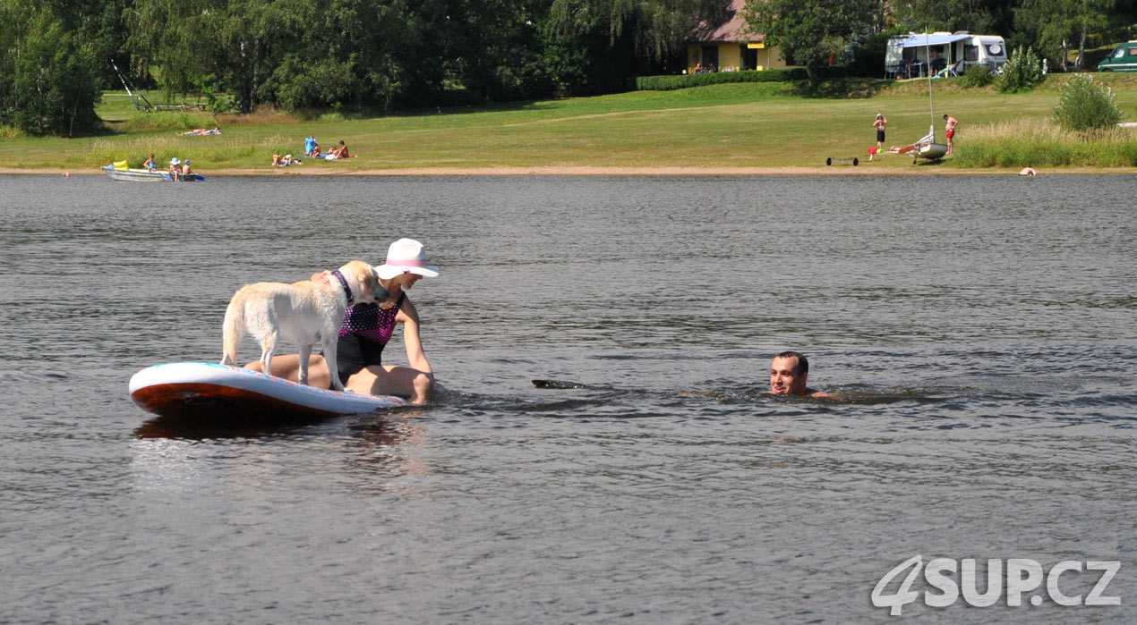 Retriever na paddleboardu. Paddleboard a pes, vemte svého pejska na projížďku na paddleboradu