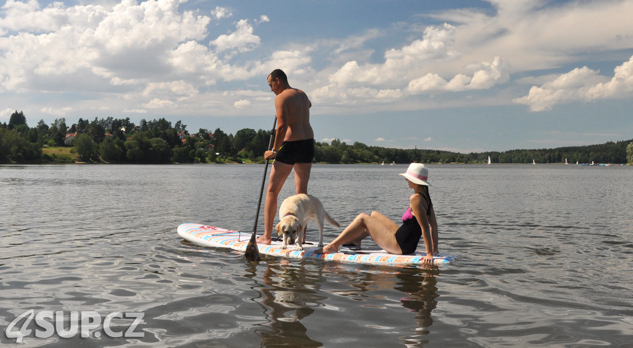 Retriever na paddleboardu. Paddleboard a pes, vemte svého pejska na projížďku na paddleboradu