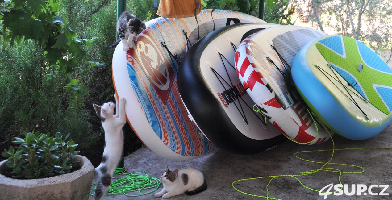 Testování paddleboardu Korčula 2017 - kočky, koťata na paddle