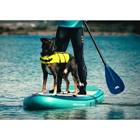 Paddleboard AQUA MARINA BEAST 10'6