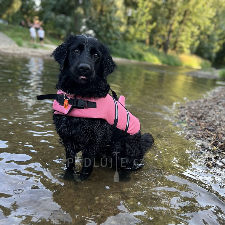 Záchranná plovací vesta pro psa Nobby Elen neon ŽRALOK růžová