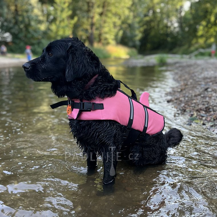 Záchranná plovací vesta pro psa Nobby Elen neon ŽRALOK růžová