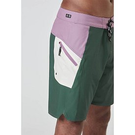 Kraťasy pánské boardshort PICTURE Journy 19 DARKEST SPRUCE