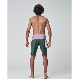 Kraťasy pánské boardshort PICTURE Journy 19 DARKEST SPRUCE