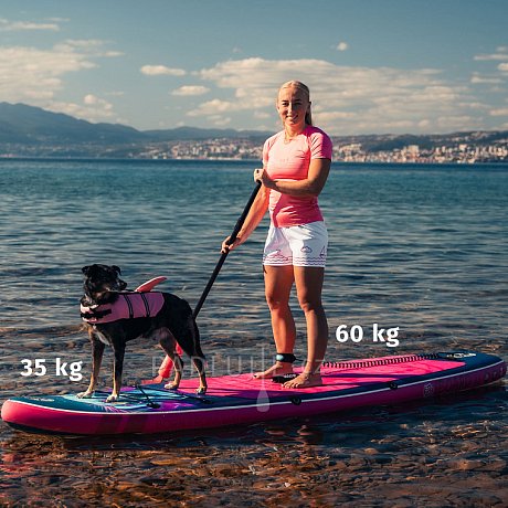 Paddleboard iBOARD 11' DOG, CAT - rodinná sada Pejsek a Kočička