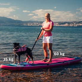 Paddleboard iBOARD 11' DOG, CAT - rodinná sada Pejsek a Kočička