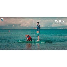 Paddleboard AQUA MARINA BREEZE 9'10 Silver tree 2026